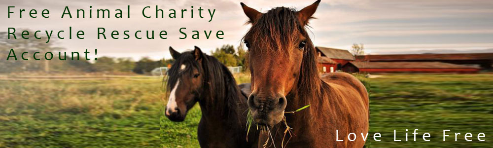 free animal charity account